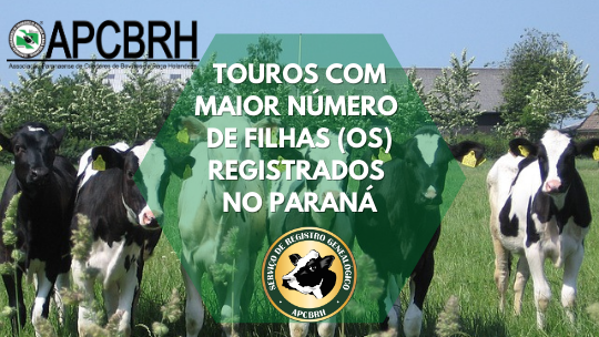 Touros com maior número de filhas (os) registrados no Paraná -  2023